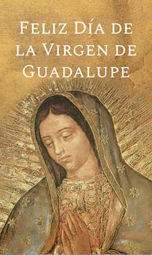 Imagenes para whatsapp del Día de tu Santo. Virgen de Guadalupe -
